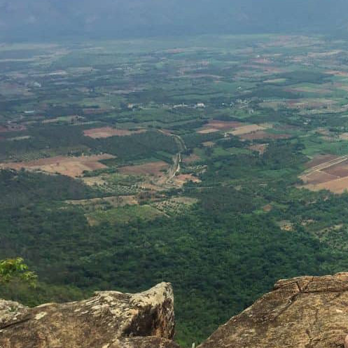 Pandikuzhi View Point